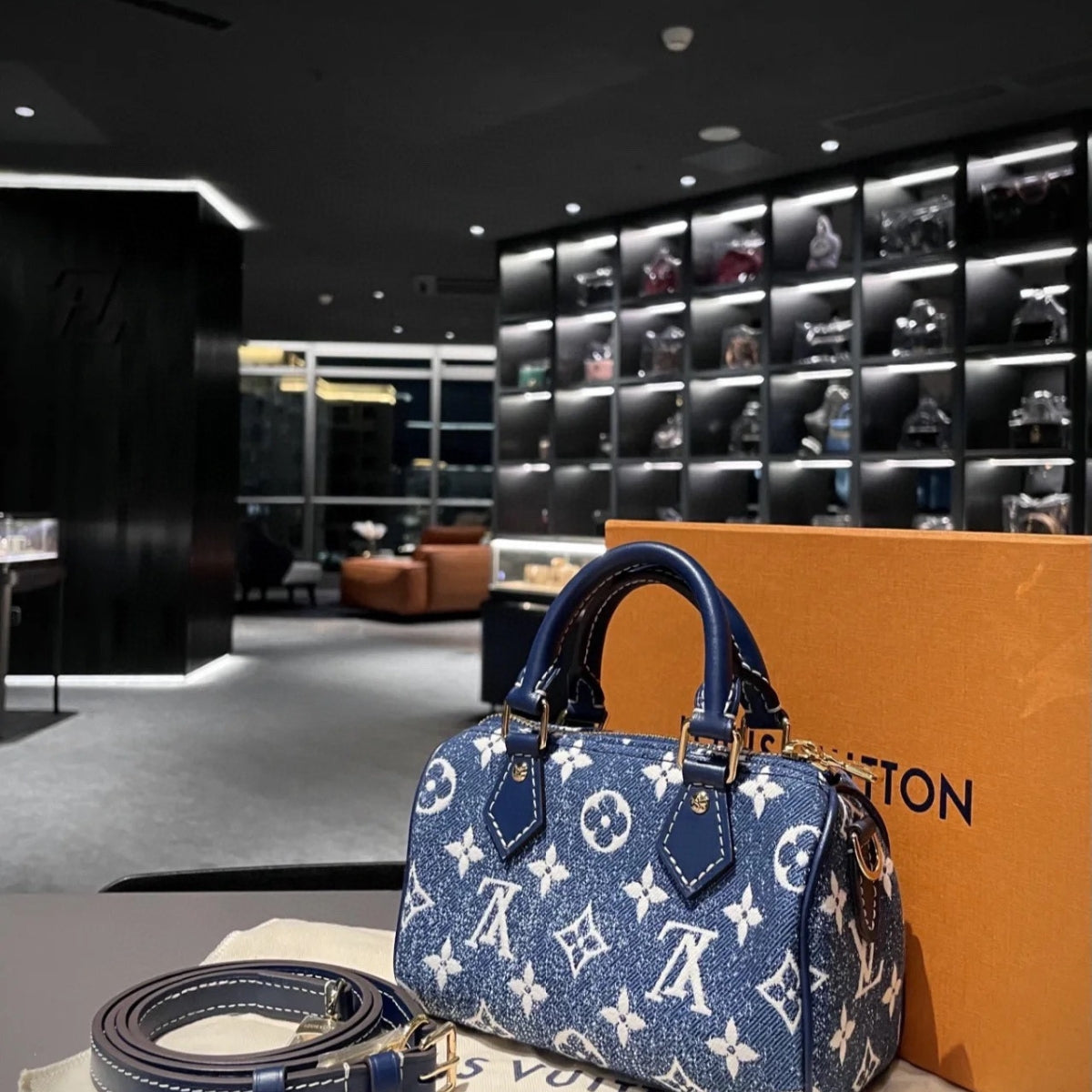 LV Denim Nano Bag
