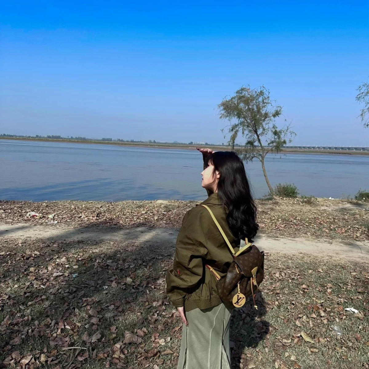 LV Classic Backpack Bag