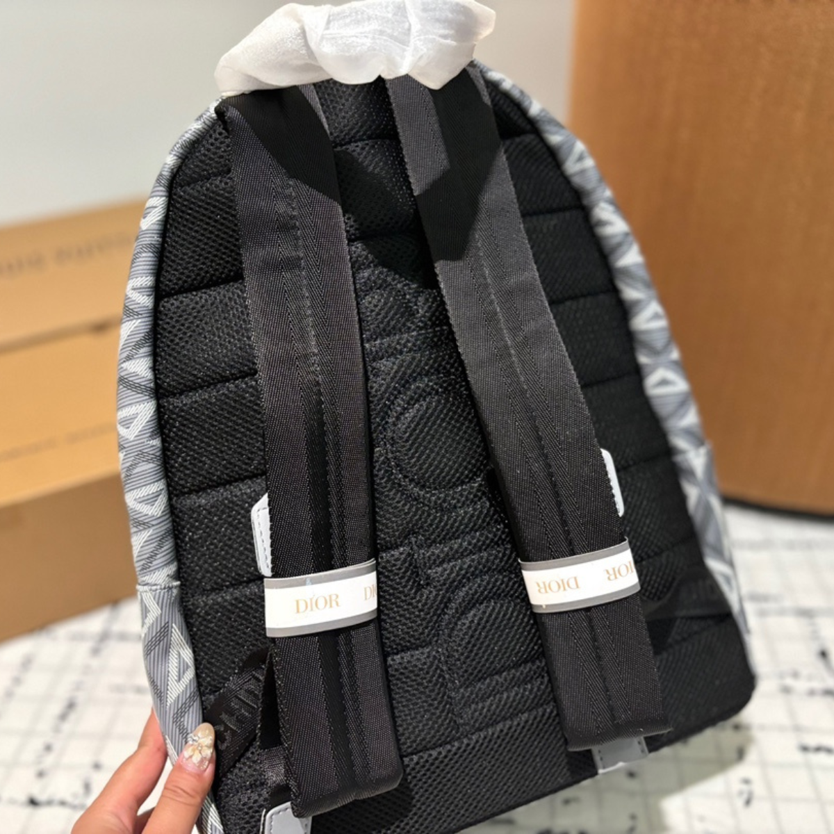 DIOR Sleek Monogram Backpack Bag