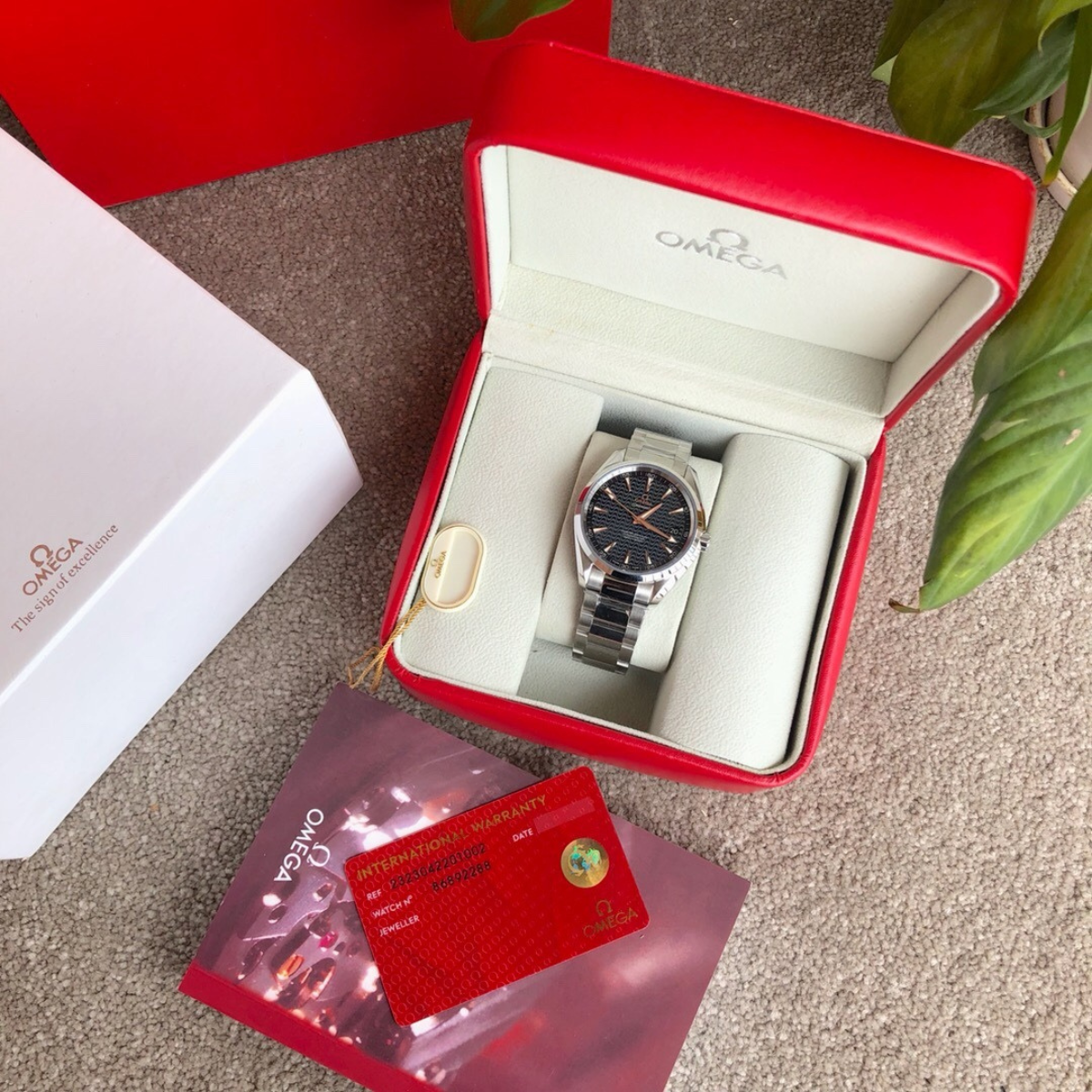 Omega Seamaster Aqua Terra