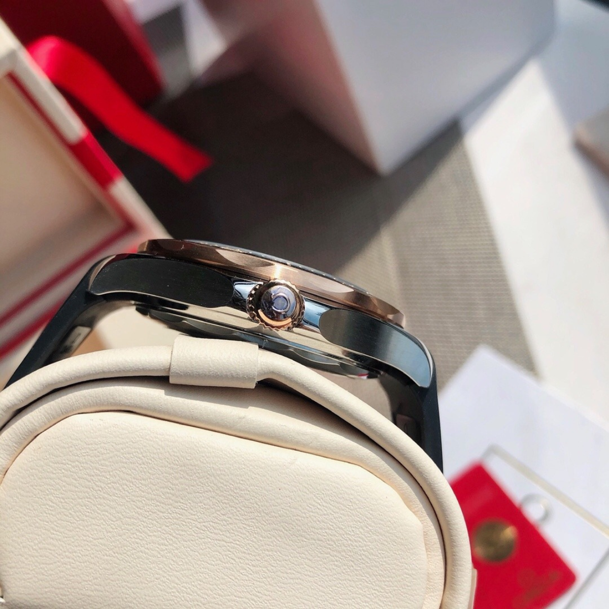 Omega Seamaster Pro Watch