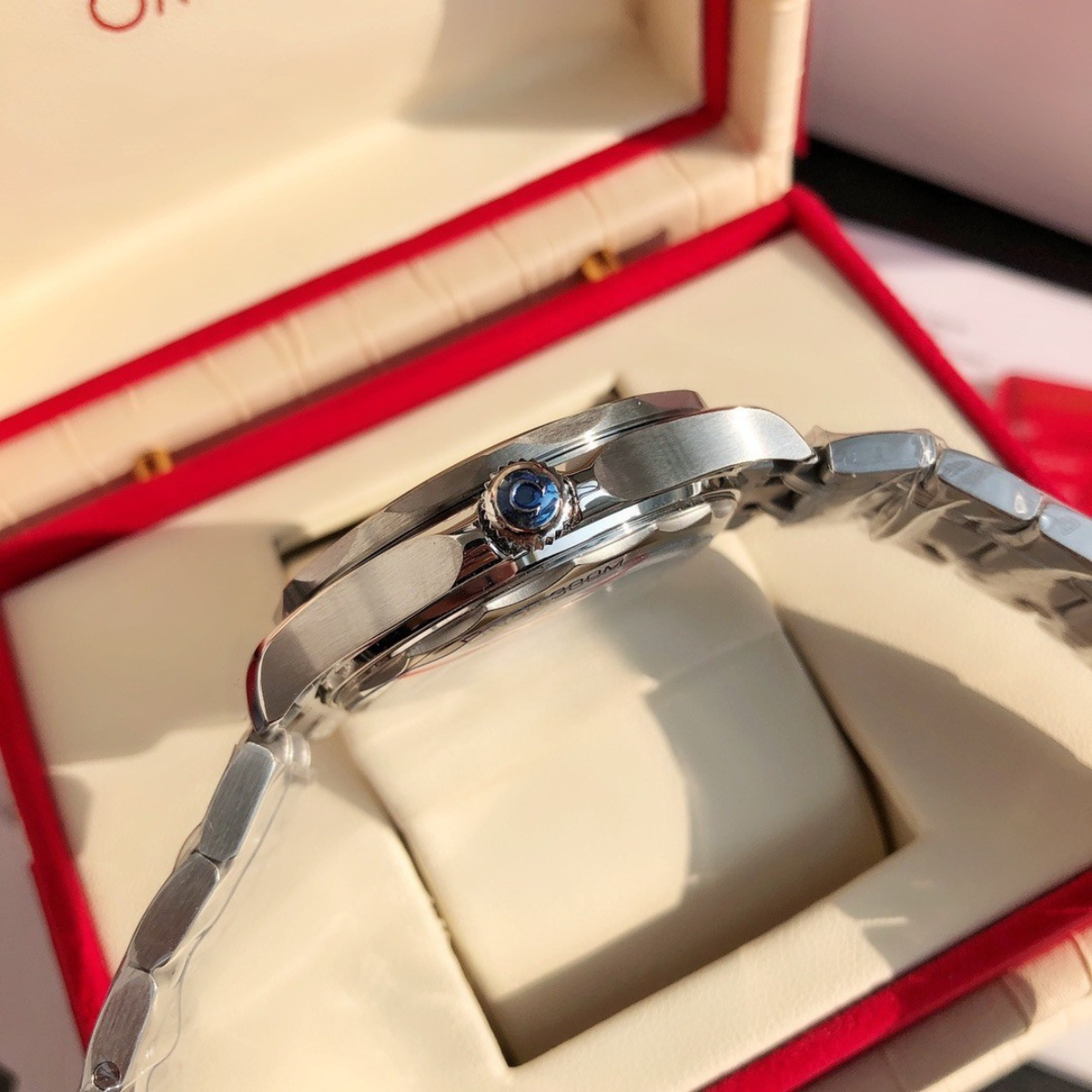 Omega Seamaster Professional Watch