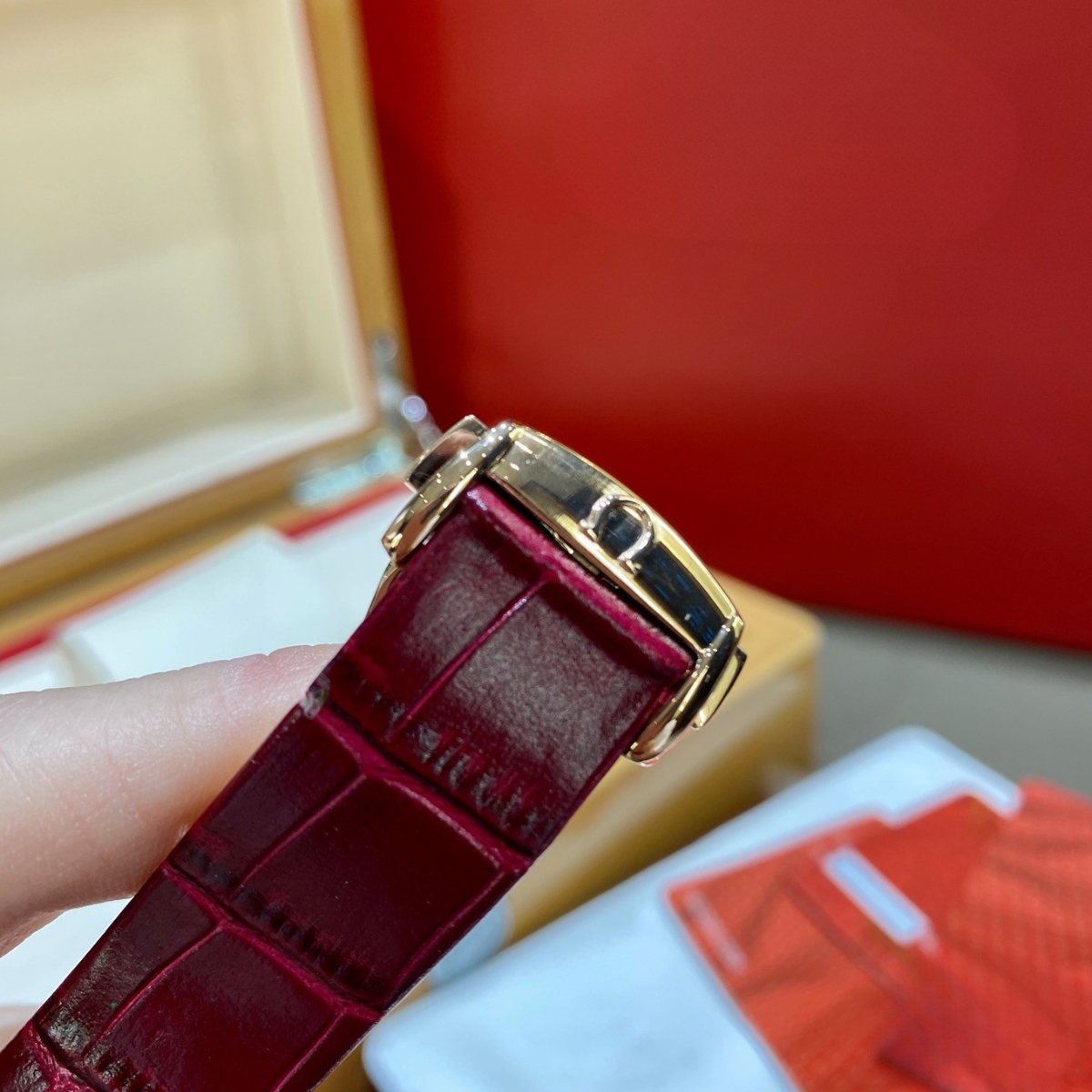 Omega Red Diamond Luxury Watch