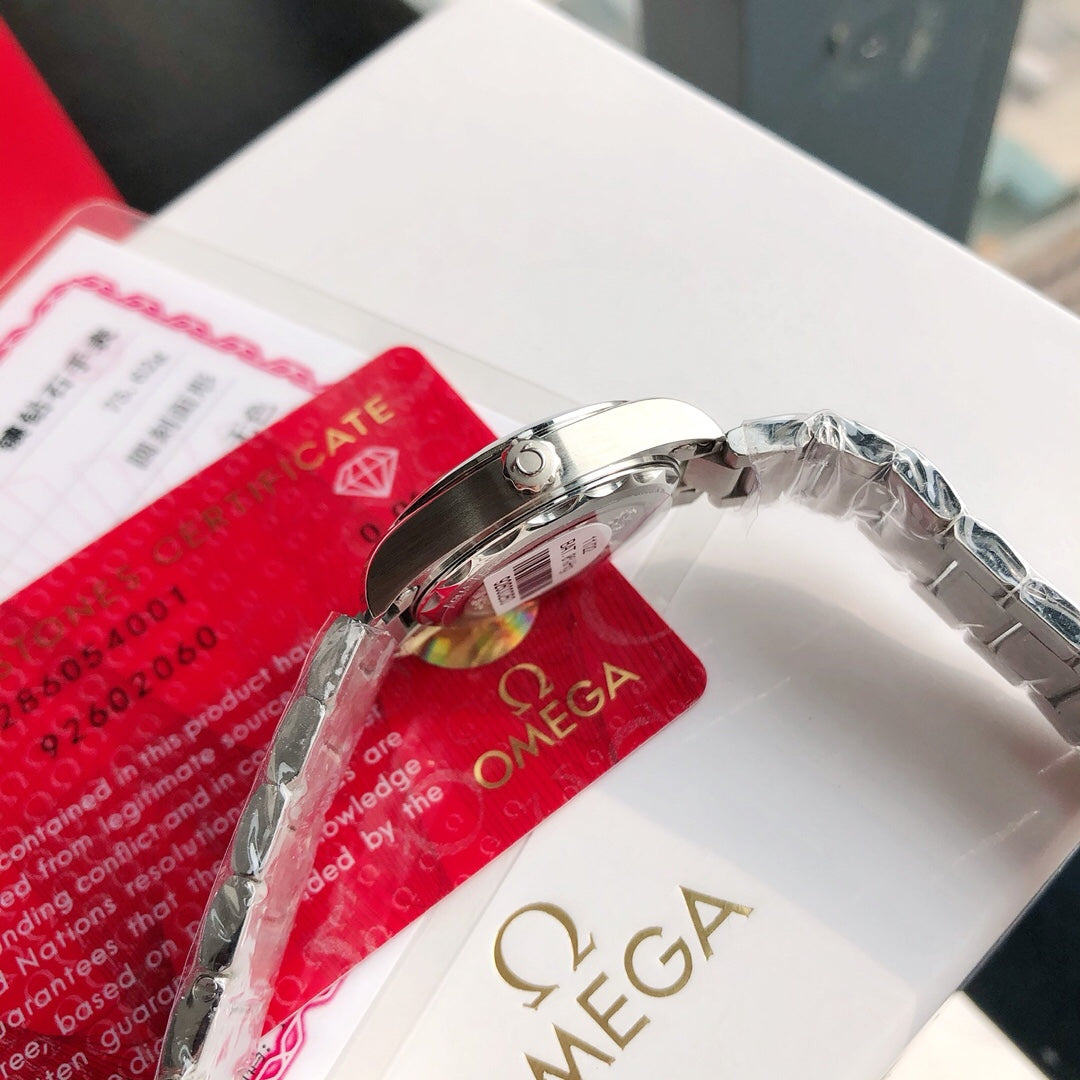 Omega Seamaster Terra Watch