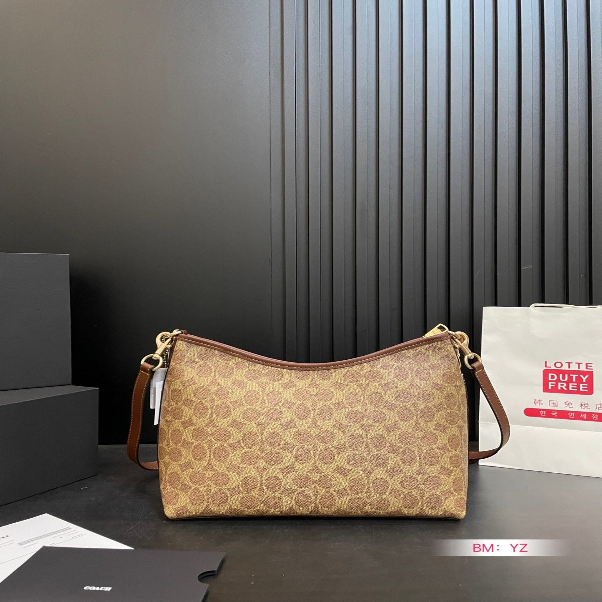 Coach Laurel Hobo Bag