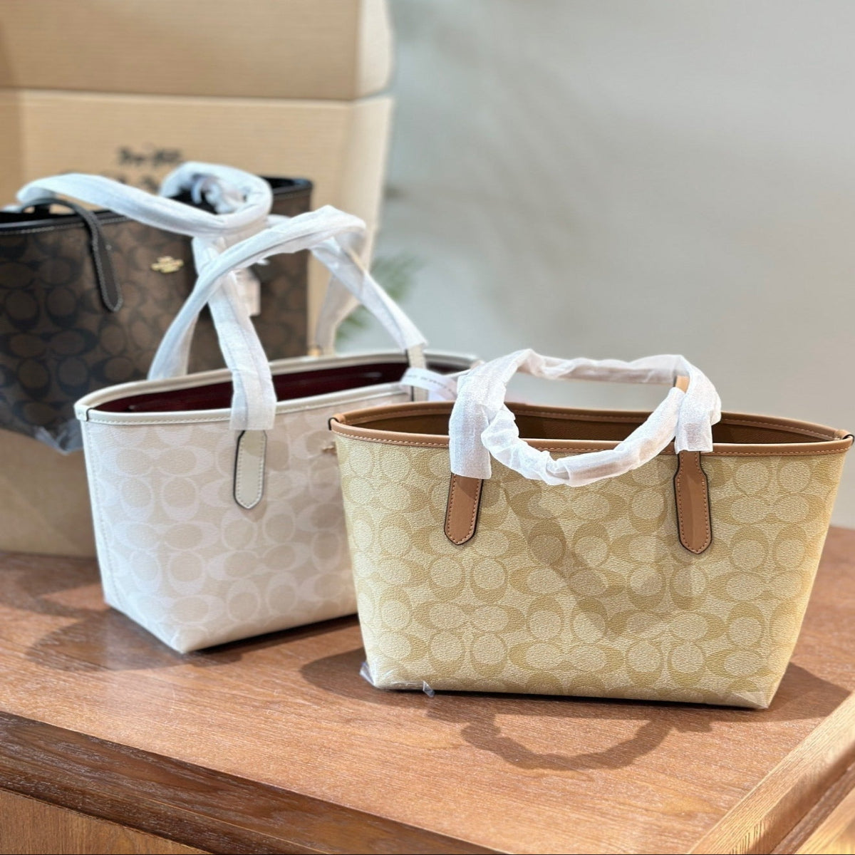 Coach City Small Tote