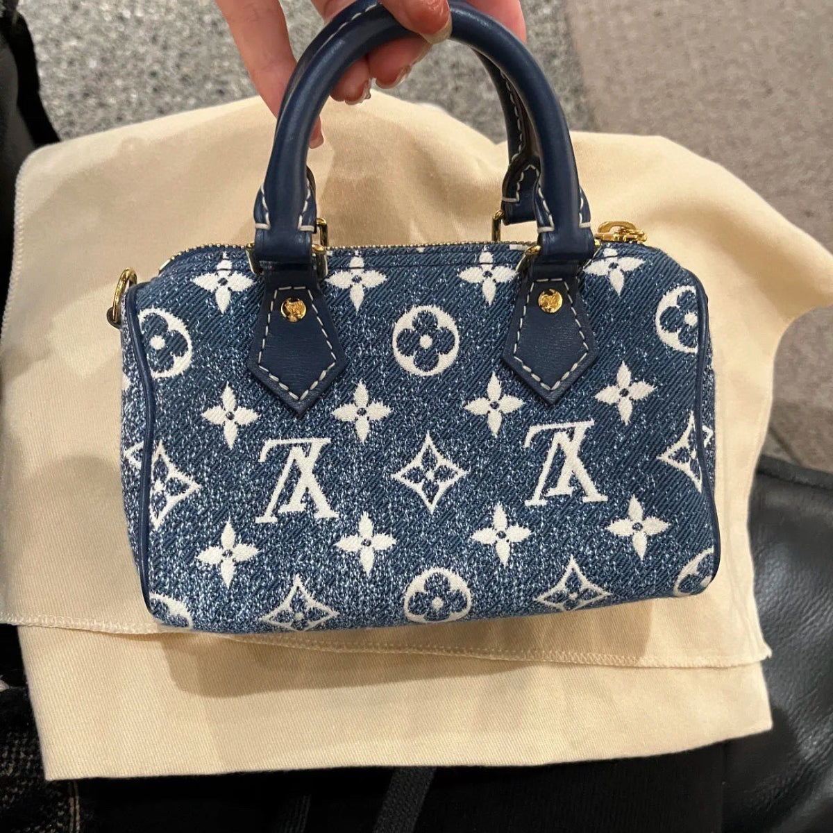 LV Denim Nano Bag
