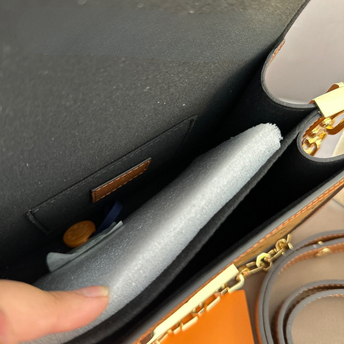LV Dauphine WOC Bag