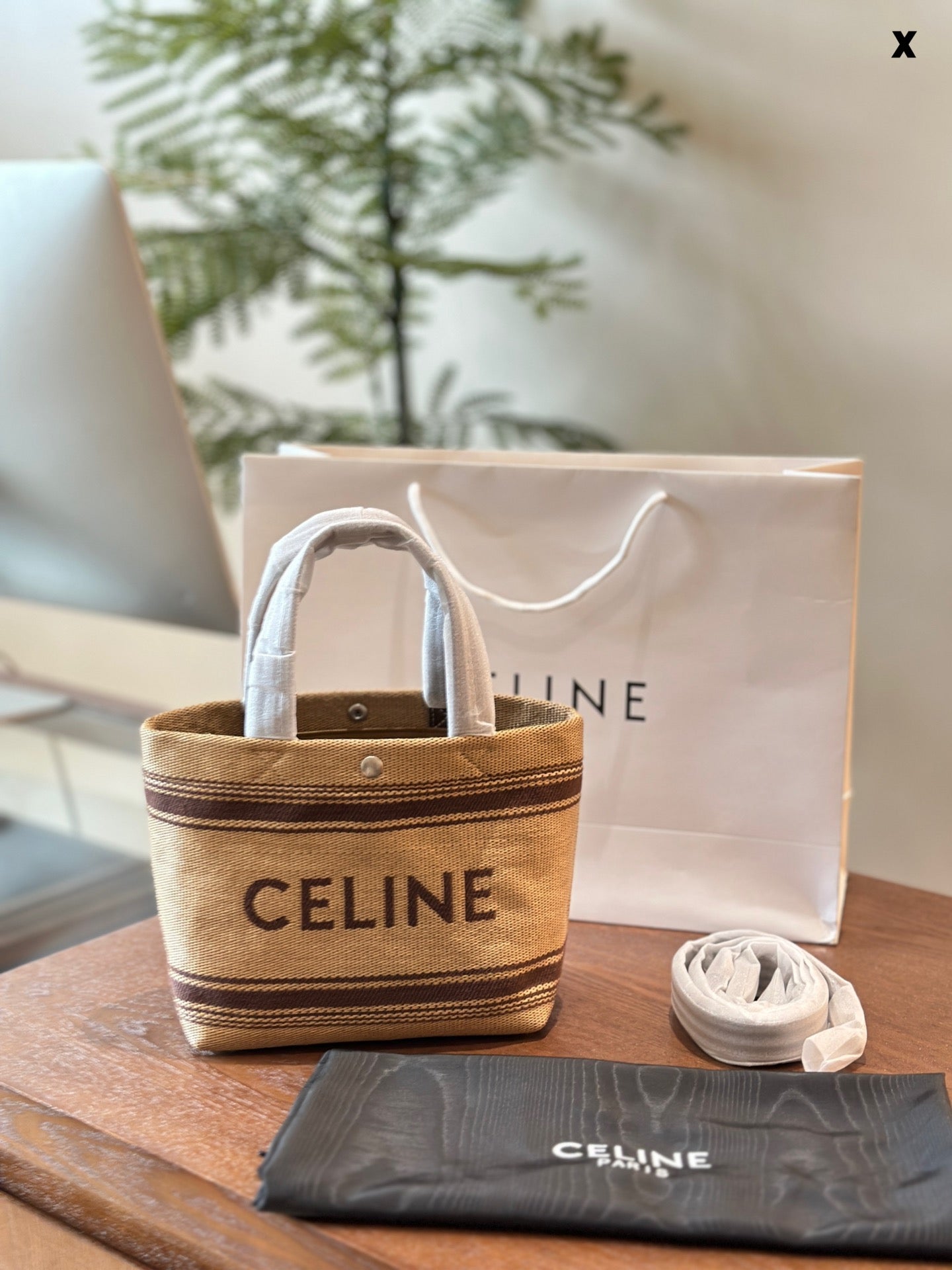 Celine Mini Tote Bag