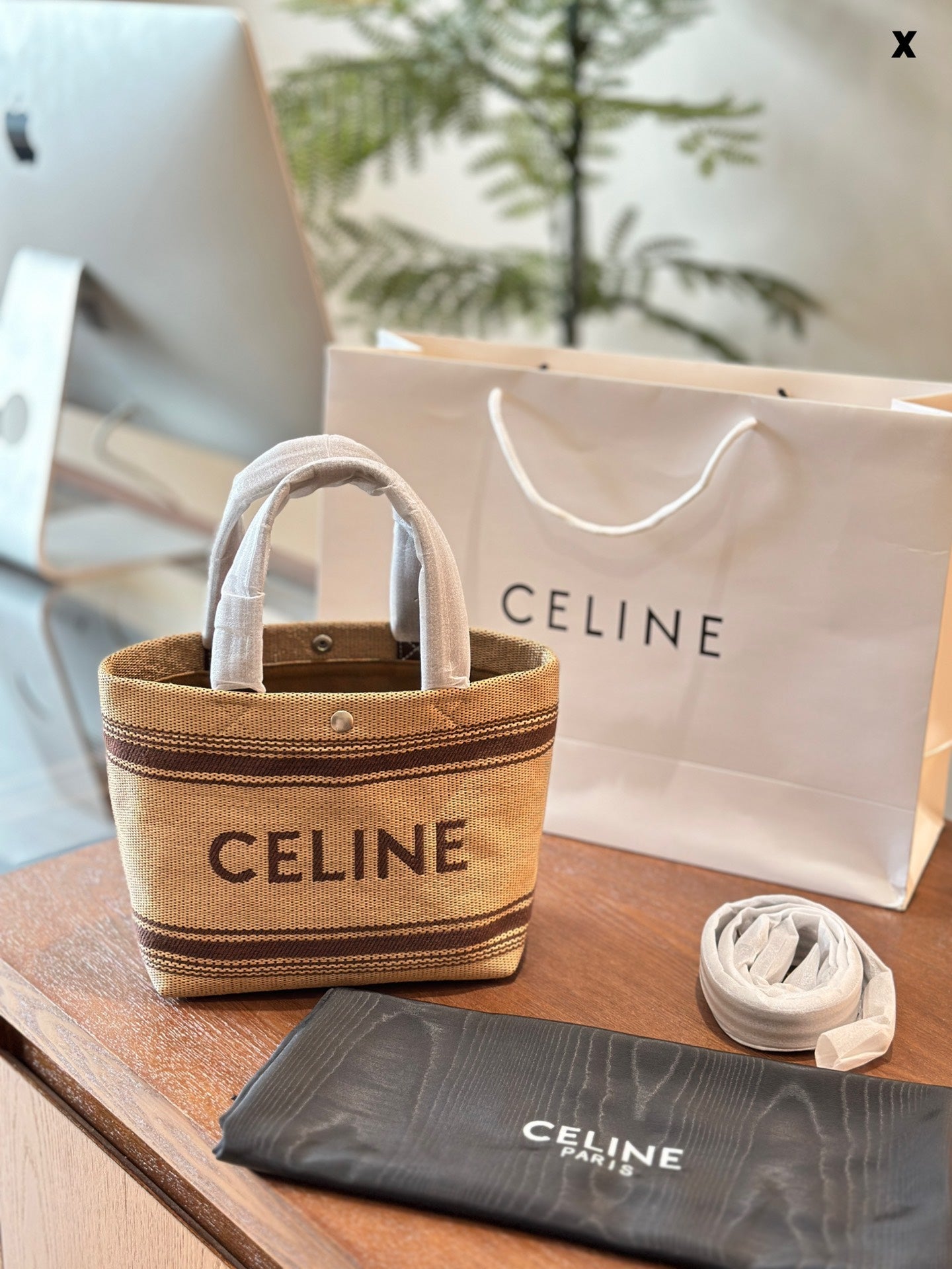 Celine Mini Tote Bag