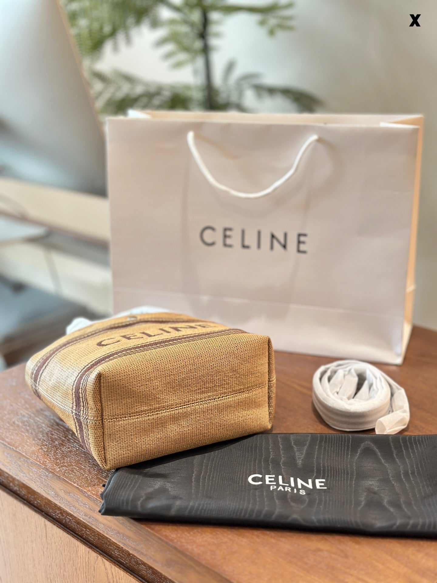 Celine Mini Tote Bag
