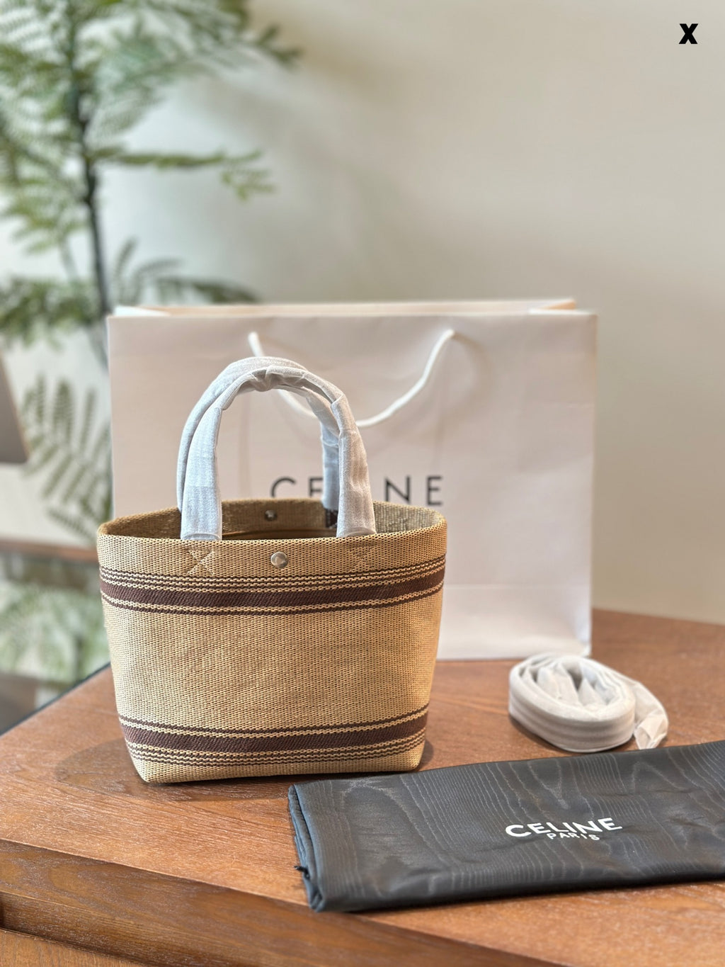 Celine Mini Tote Bag