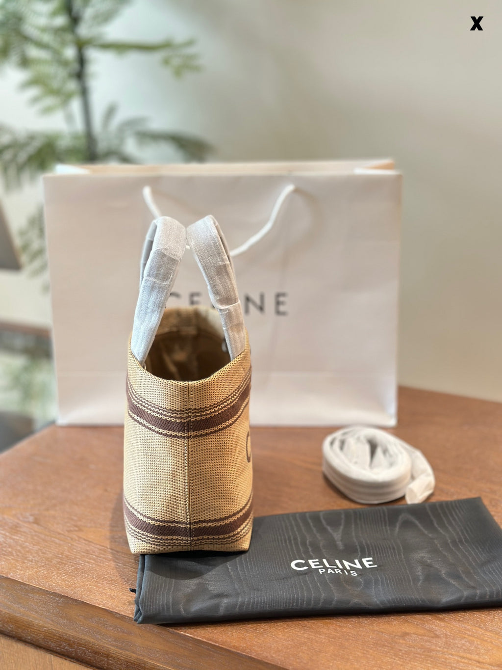 Celine Mini Tote Bag