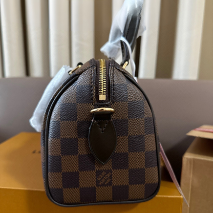 LV Speedy 20 Pillow Bag