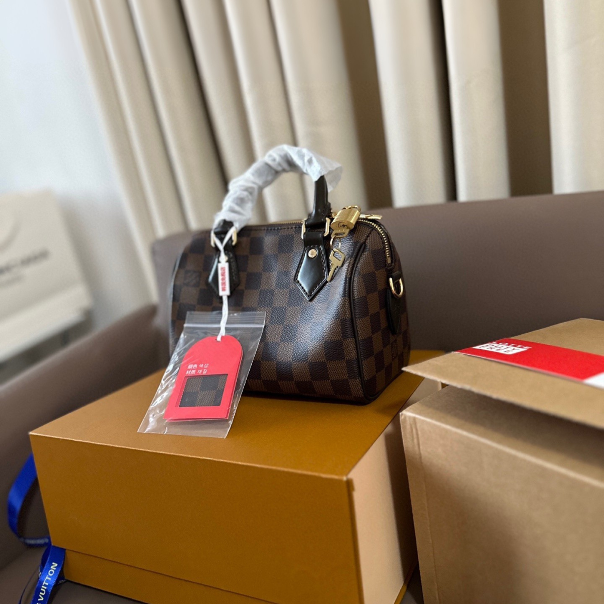 LV Speedy 20 Pillow Bag