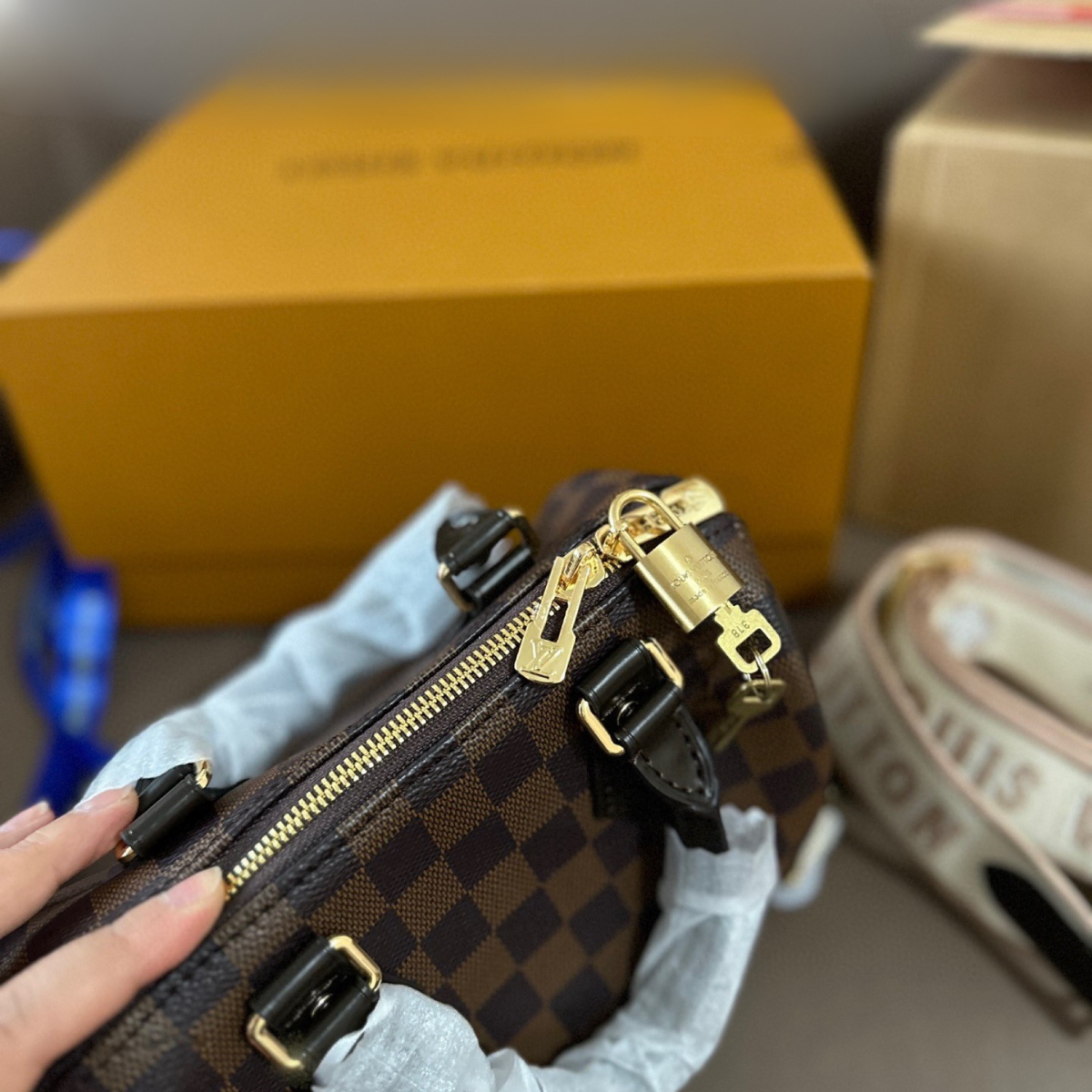 LV Speedy 20 Pillow Bag