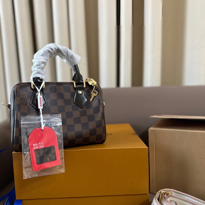 LV Speedy 20 Pillow Bag