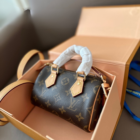 LV Speedy 16 Mini Bag