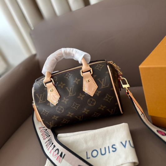 LV Speedy 20 Pillow Bag