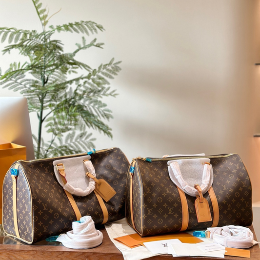 LV Travel Bag Collection Bag