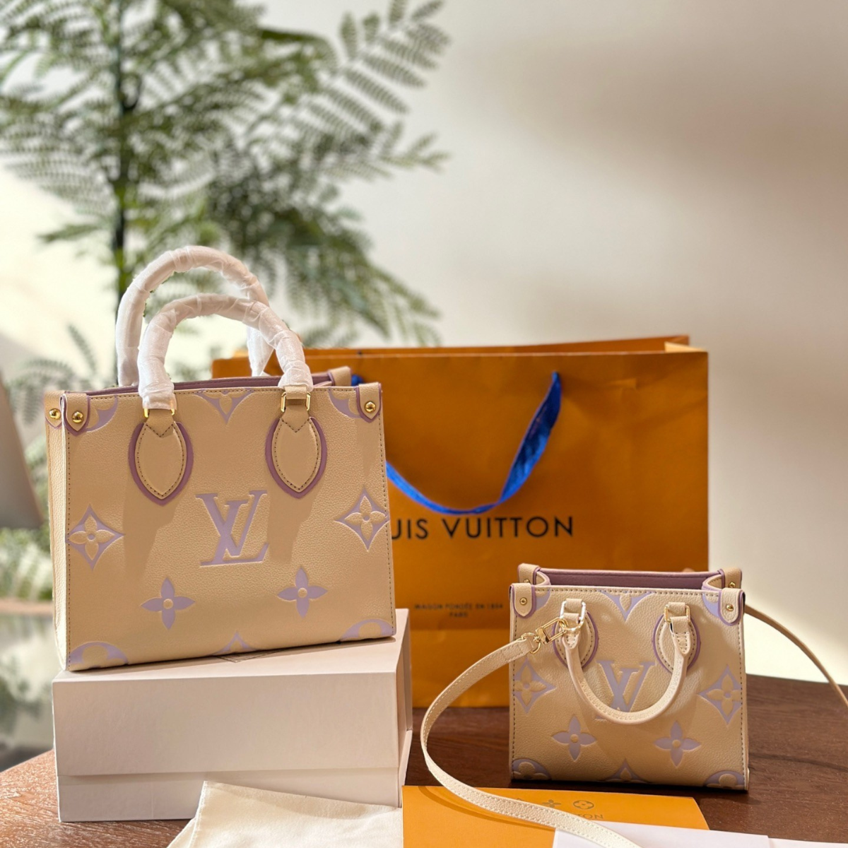LV Onthego Mini Tote Bag