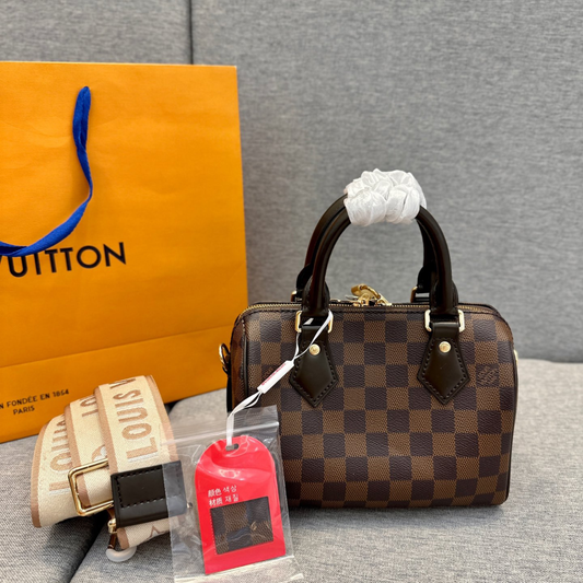 LV Damier Speedy Bag