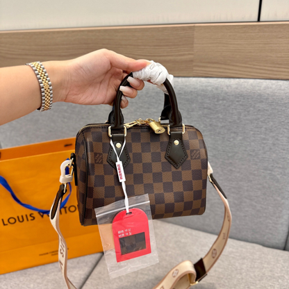 LV Damier Speedy Bag