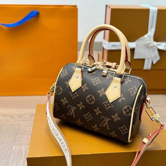 LV Monogram Pillow Bag