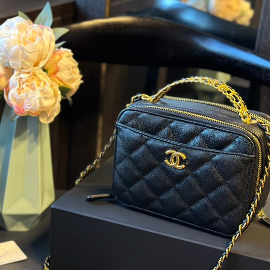 Chanel Camera Bag
