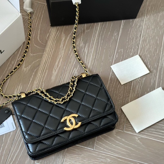 Chanel Double Ball WOC
