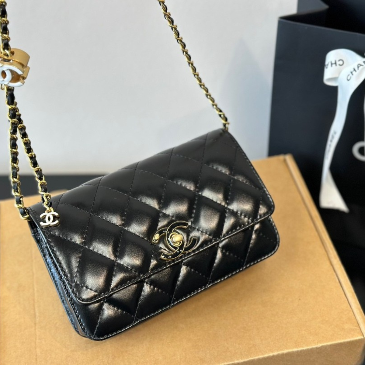 Chanel Classic Quilted Bag