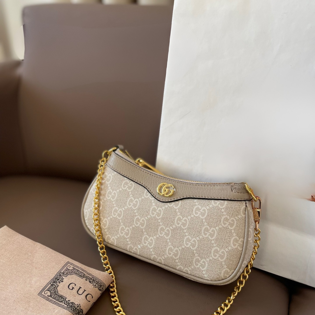 Gucci Luxury Mini Shoulder Bag