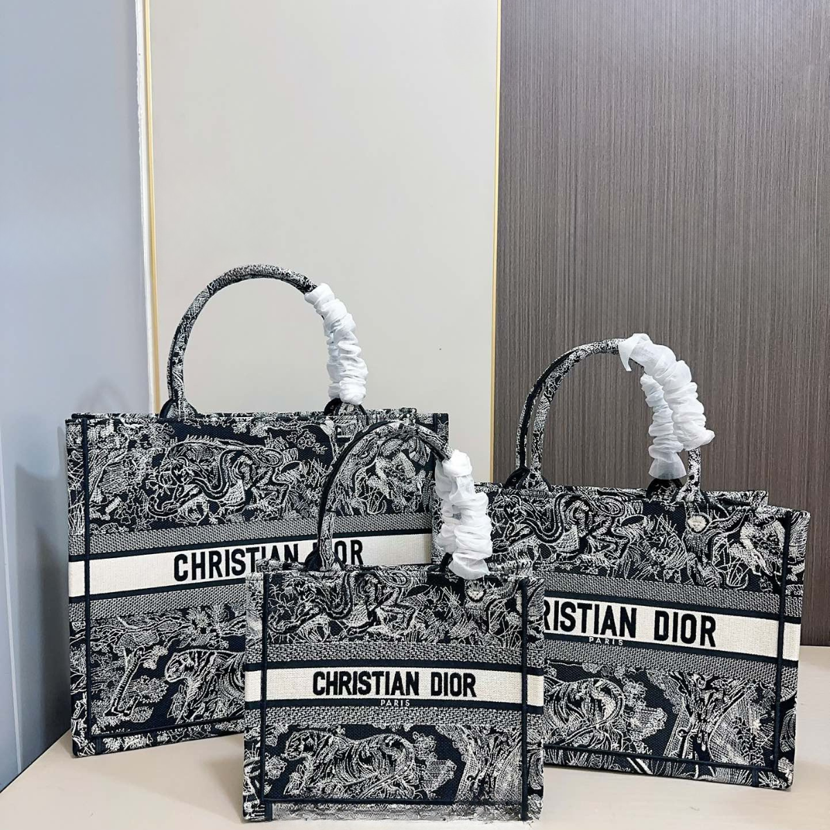 Dior Tote handBag