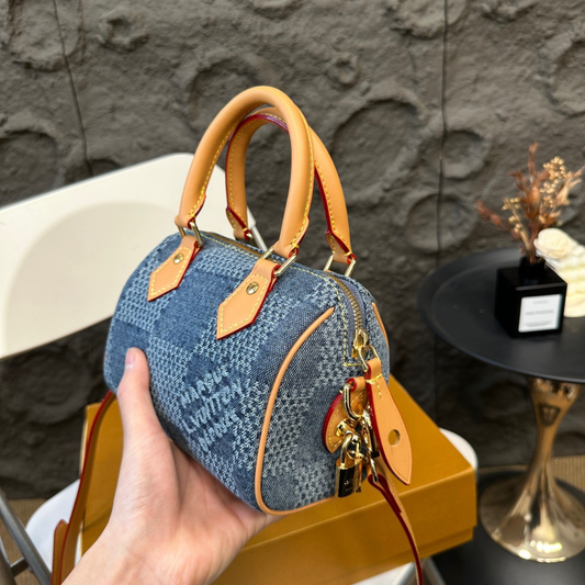 LV Speedy Denim Bag
