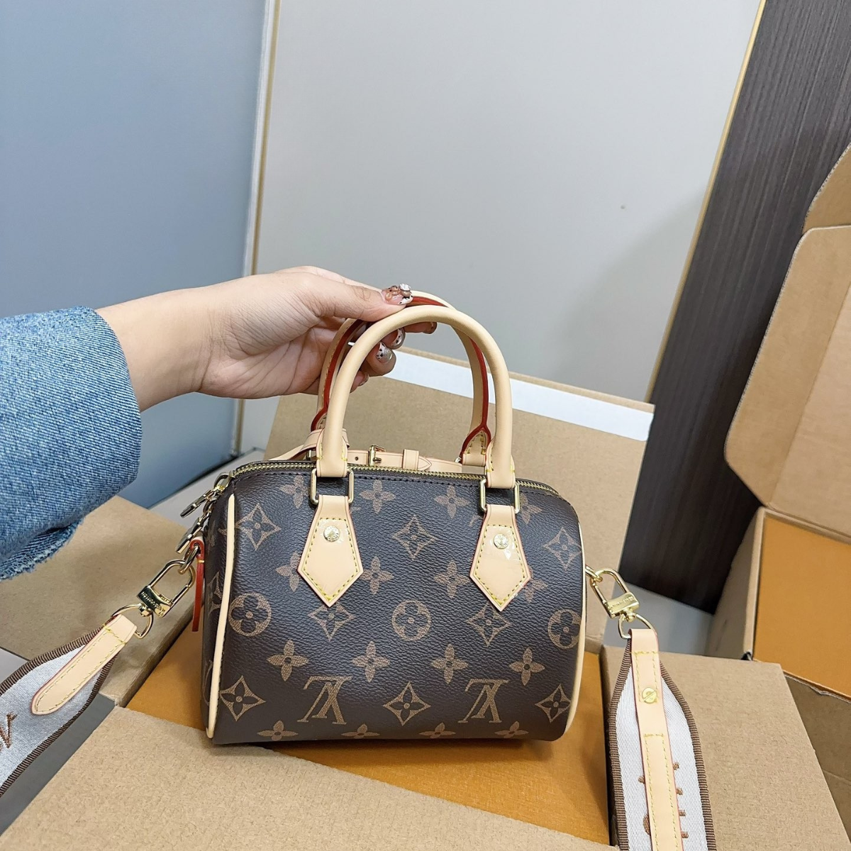LV Speedy Pillow Handbag Bag