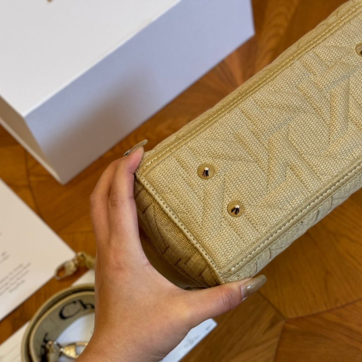 DIOR Embroidered Lady Bag
