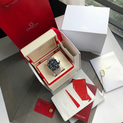 Omega Seamaster Dive Watch