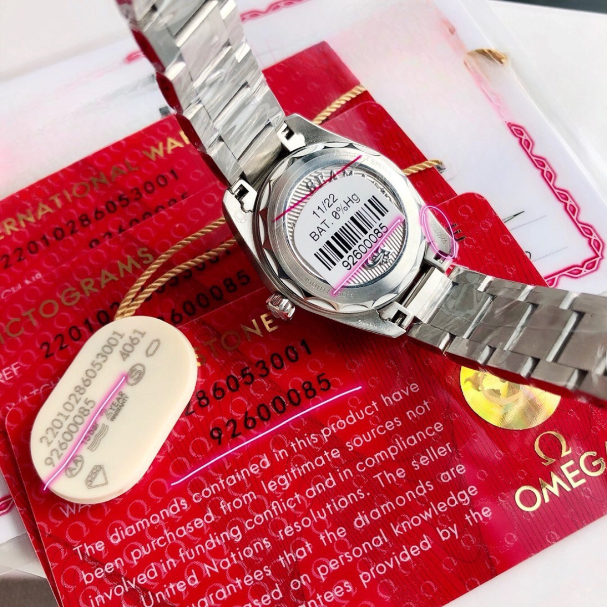 Omega Seamaster Aqua Terra Diamond Watch