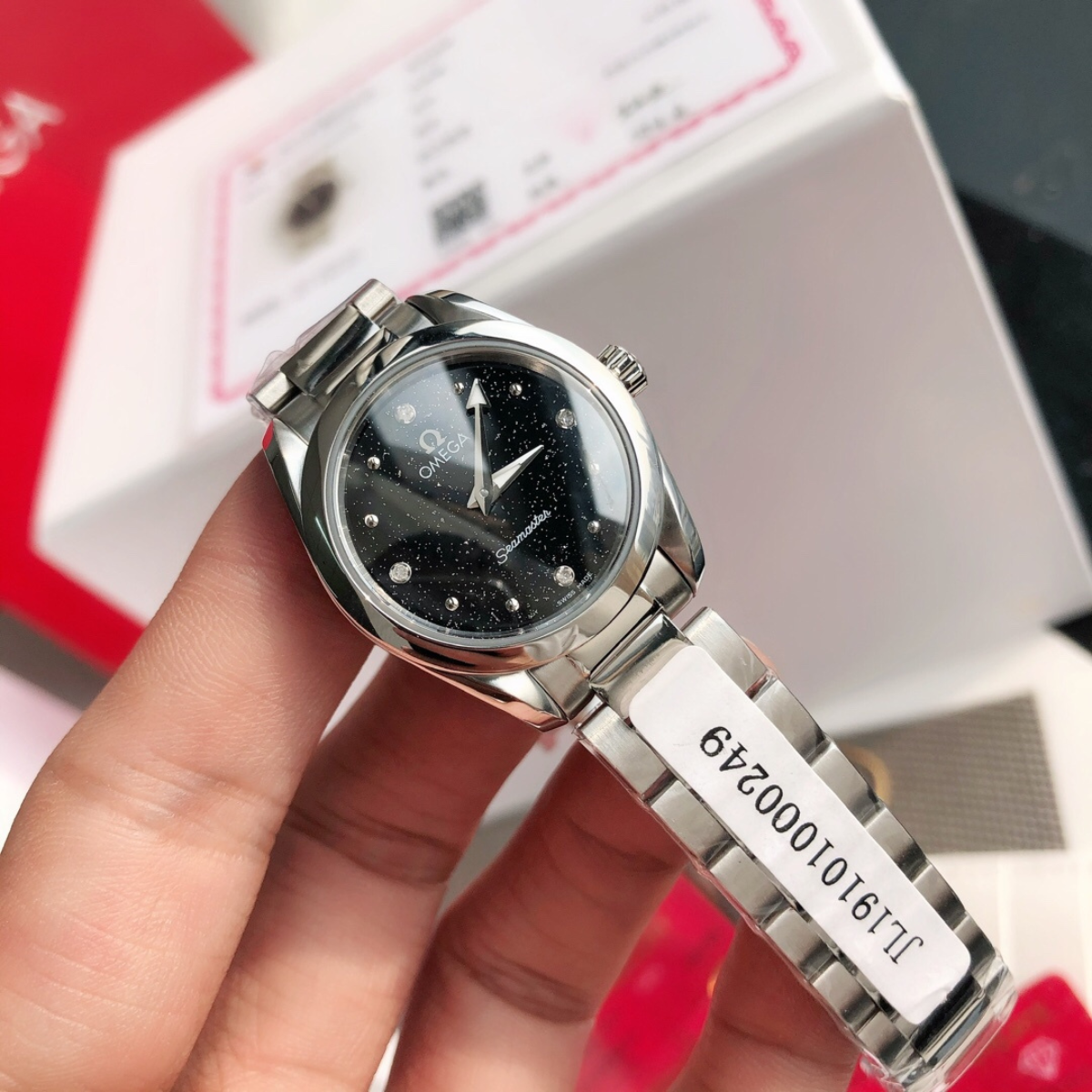 Omega Seamaster Aqua Terra Watch