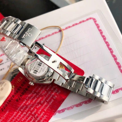 Omega Seamaster Aqua Terra Watch