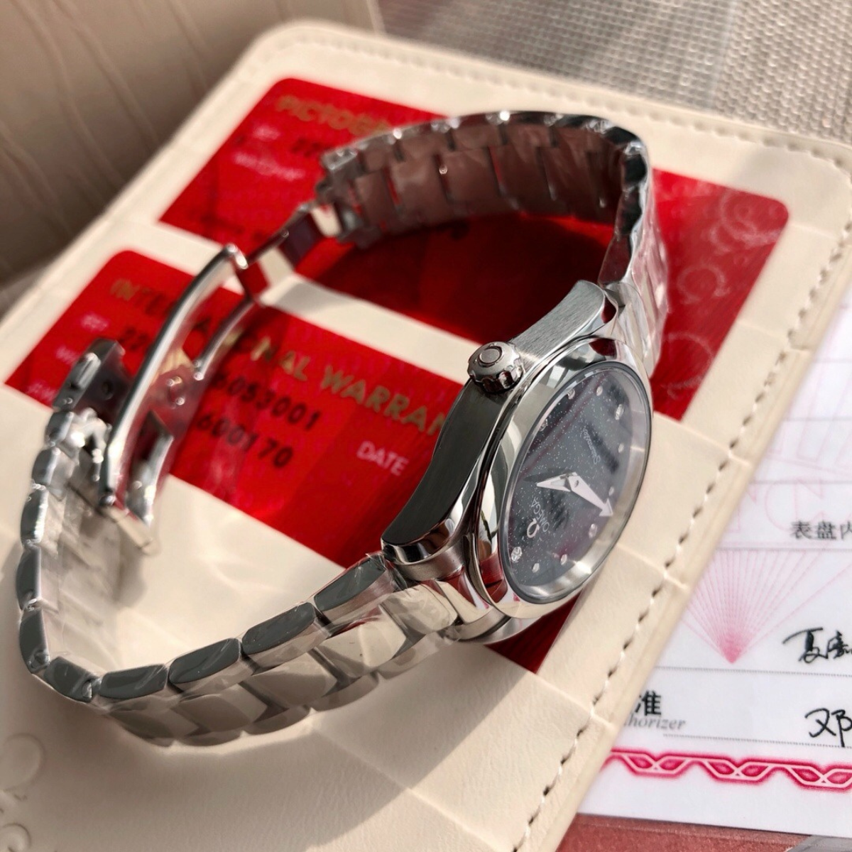 Omega-Seamaster-Aqua-Terra-Ladie Watch