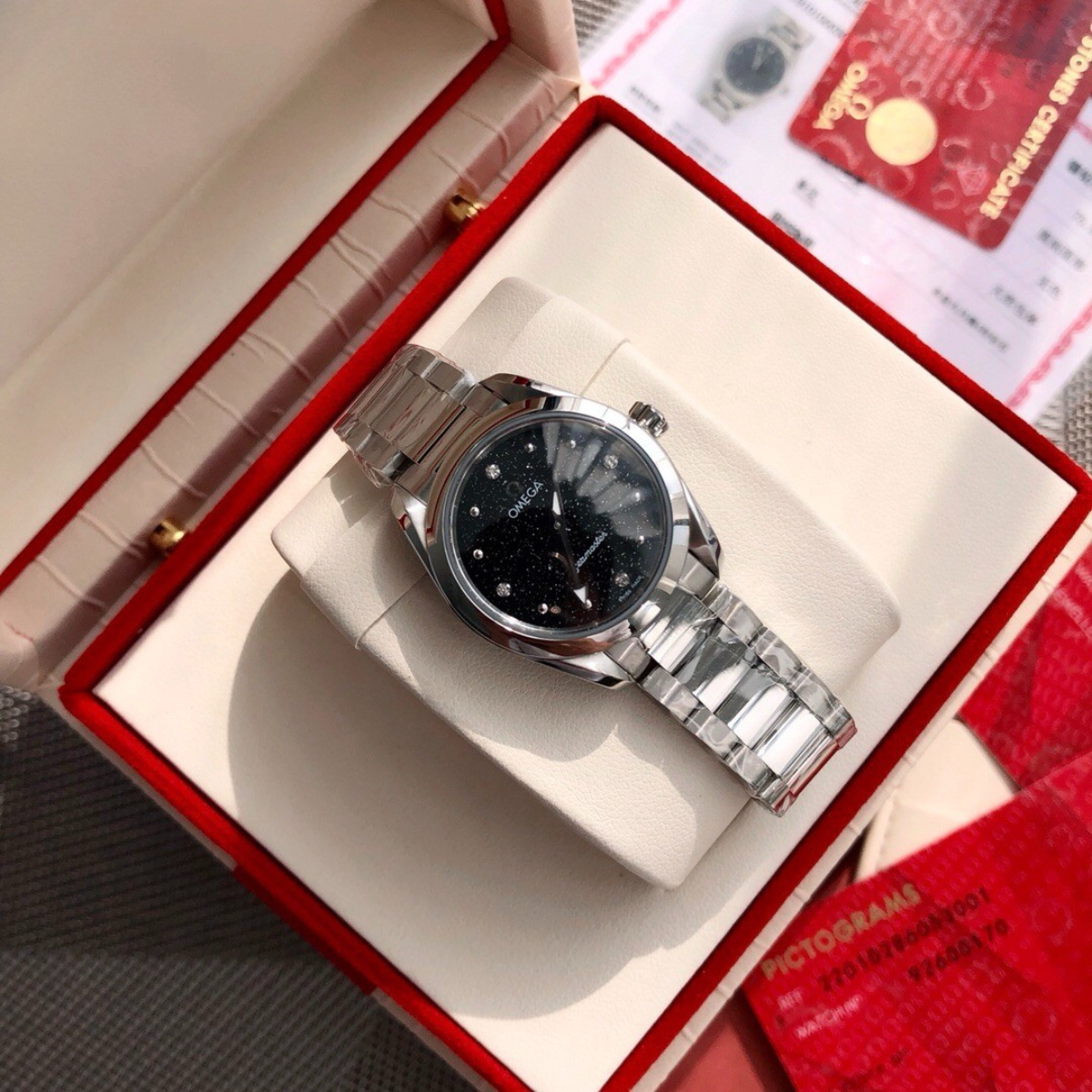 Omega-Seamaster-Aqua-Terra-Ladie Watch