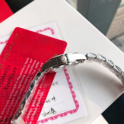 Omega Aqua Terra Ladies Diamond Watch