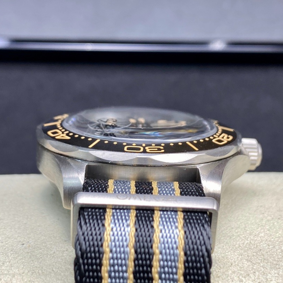 Omega Titanium Bond 007 Watch