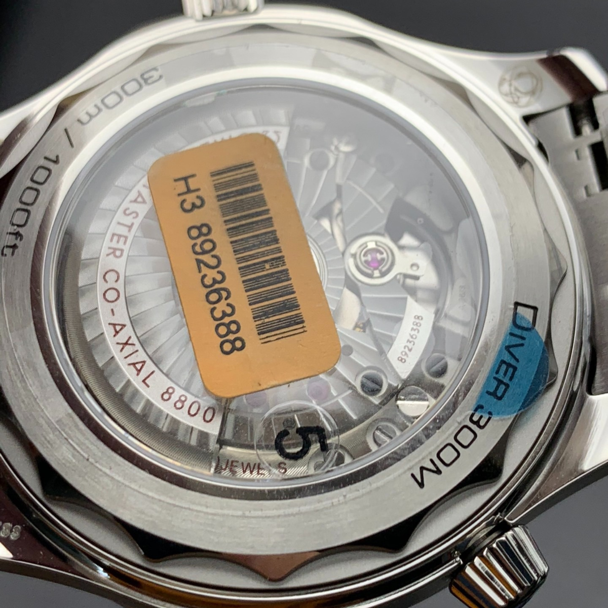 Omega Blue Horizon 300 Watch