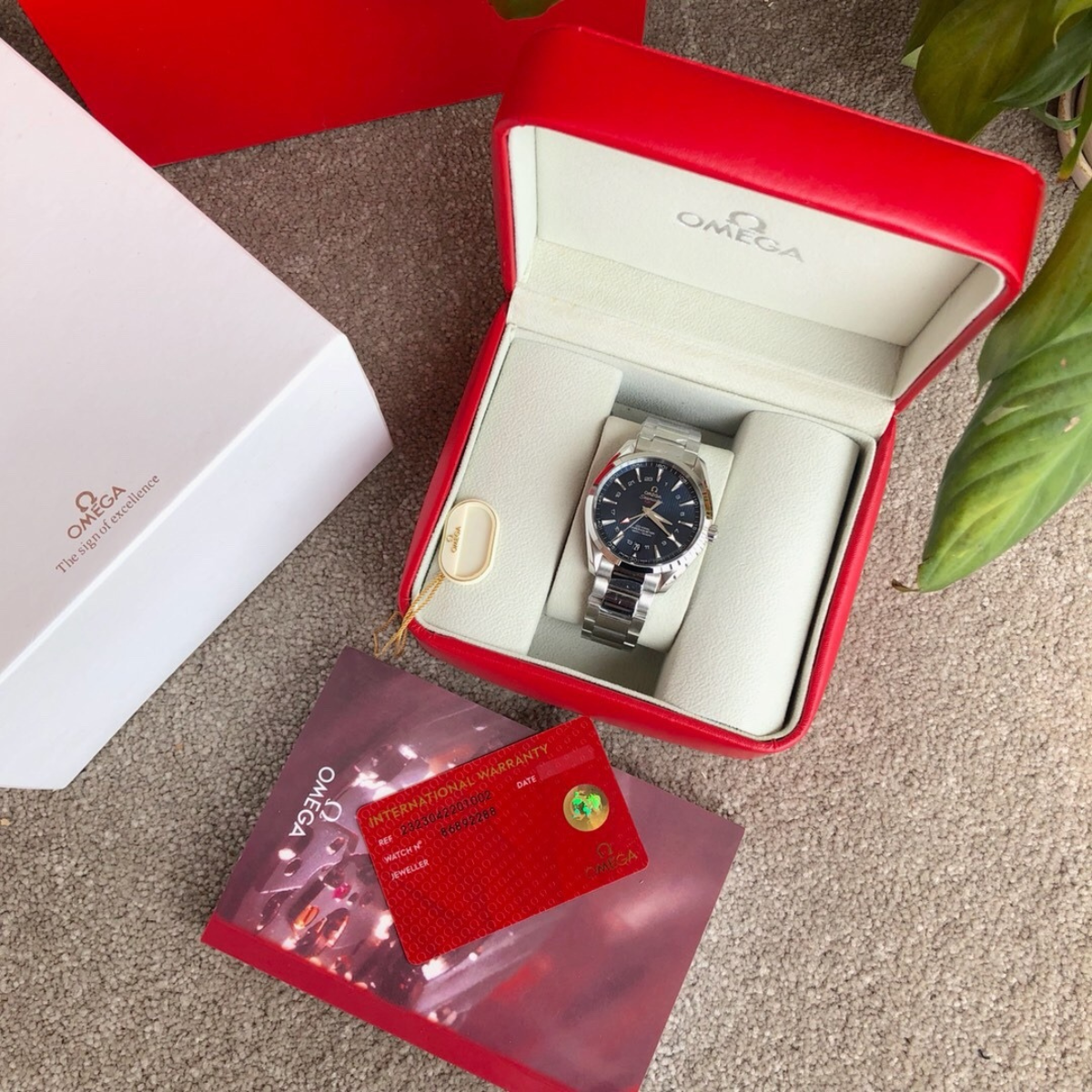 Omega Seamaster Aqua Terra