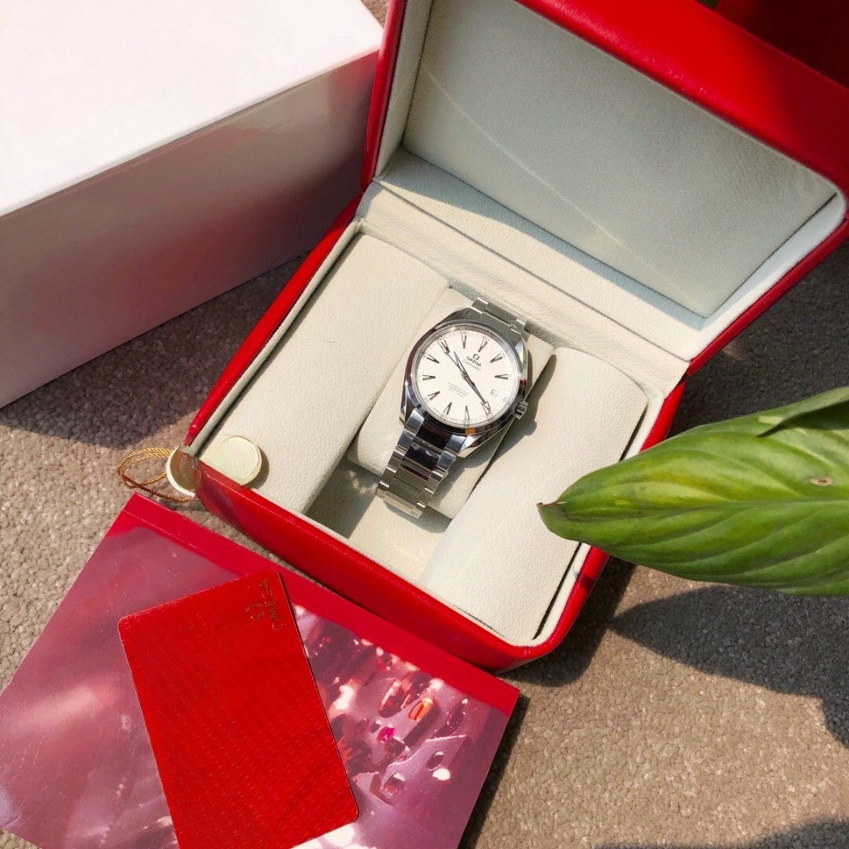 Omega Seamaster Aqua Watch