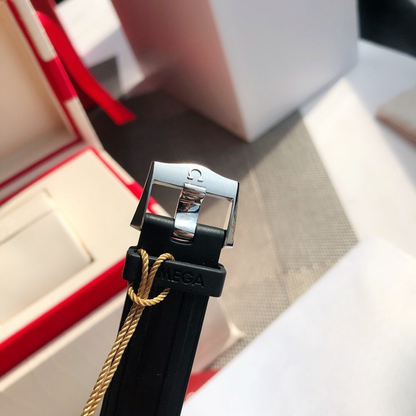 Omega Seamaster Pro Watch