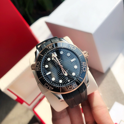 Omega Seamaster Pro Watch