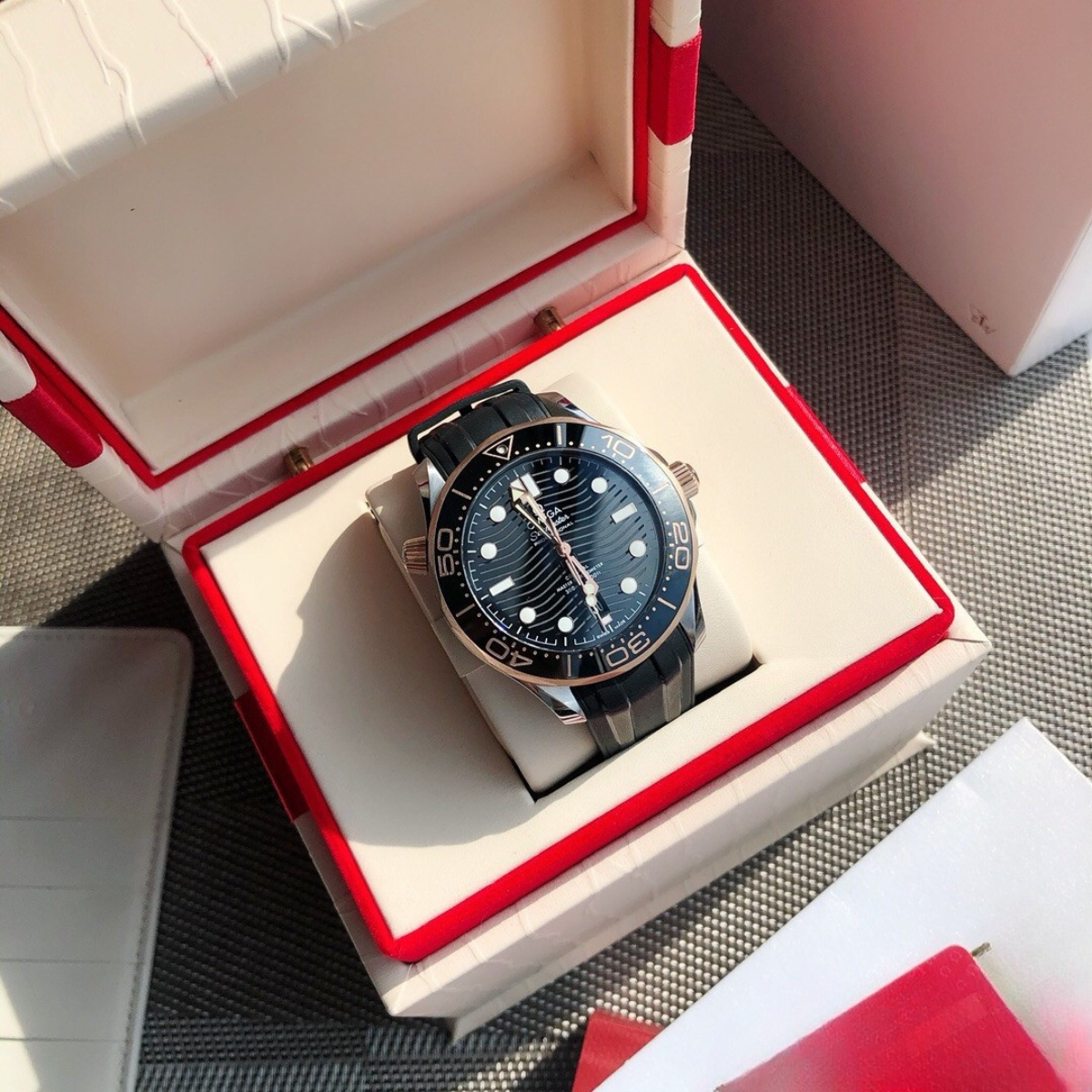 Omega Seamaster Pro Watch
